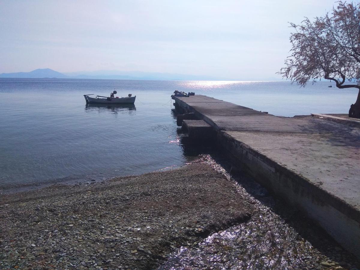 Marina Traditional Stonehouse Afetai Exterior photo